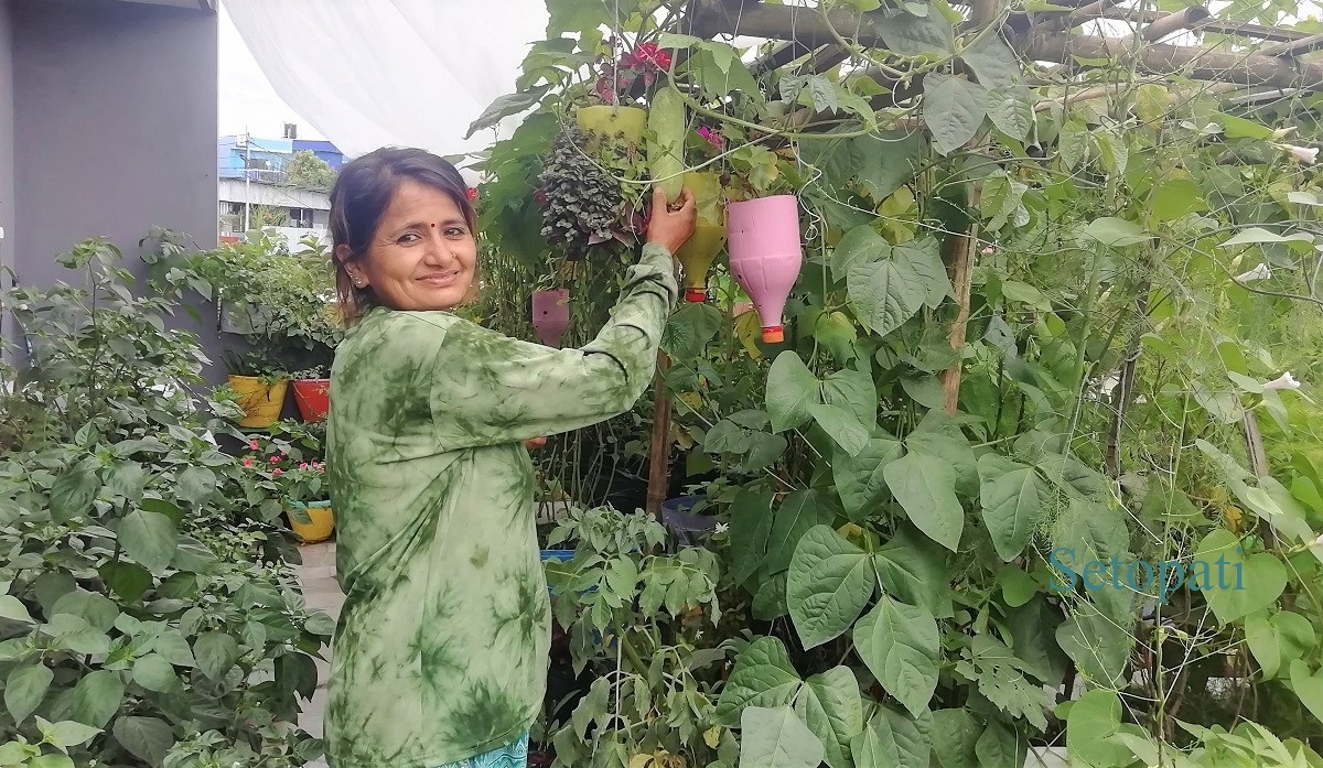 राधा ढकाल र उनको कौसीखेती। तस्बिरः सुनिता सिटौला/सेतोपाटी